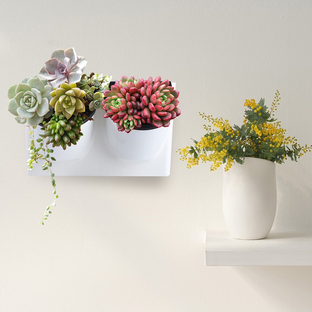 Self-Watering Planter - กระถางดอกไม้รดน้ำอัตโนมัติ ทำจากพลาสติก สีม่วง สำหรับตกแต่งภายในและภายนอกอาคาร เหมาะสำหรับปลูกไม้อวบน้ำและบอนไซ
