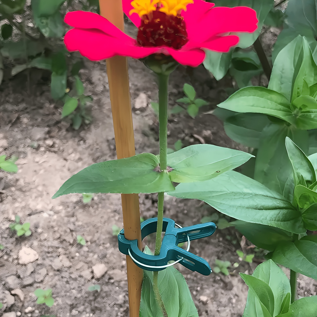 Gardening Tools Essential - คลิปหนีบต้นไม้ปรับได้ 5 ชิ้น ขนาดใหญ่หรือเล็ก ใช้ซ้ำได้ สำหรับดอกไม้