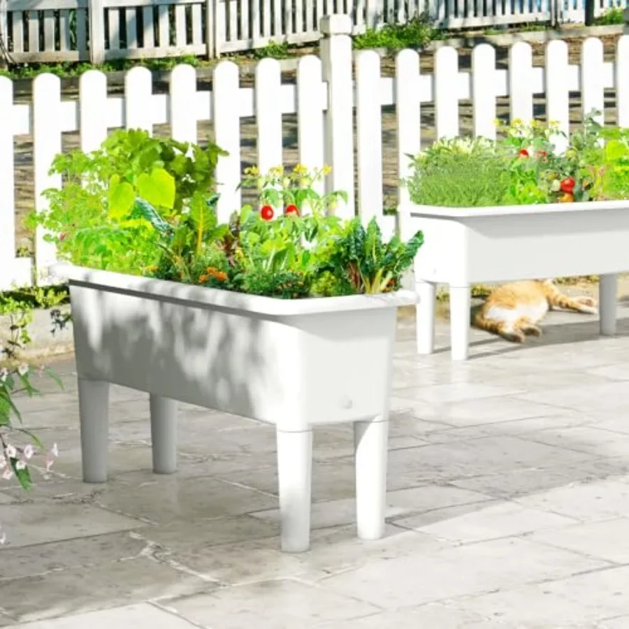 ชุดกระถางปลูกแบบยกสูงสำหรับใช้ - Self-Watering Planter บทวิจารณ์และราคา