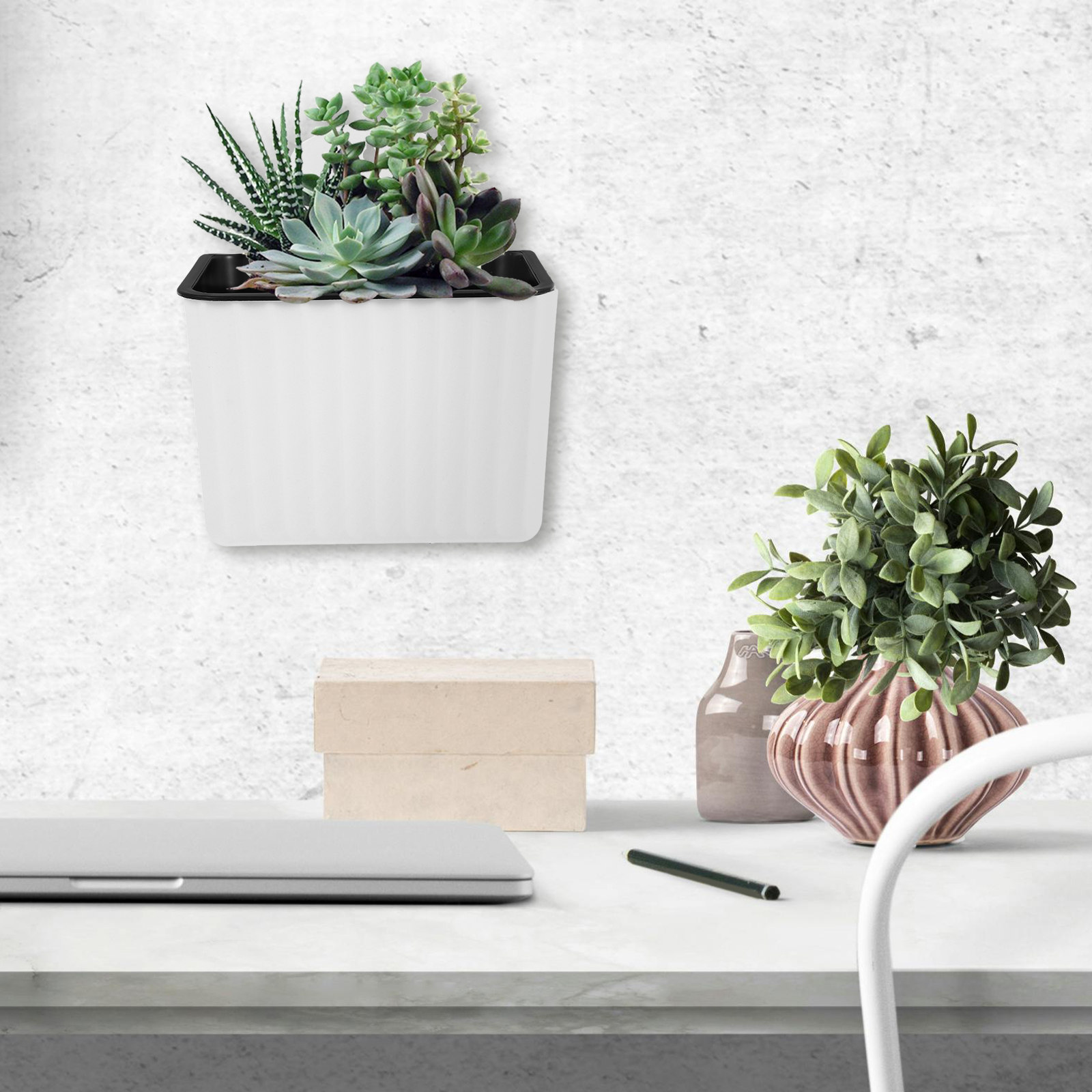 กระถางดอกไม้ติดผนังแบบรดน้ำเอง - Self-Watering Planter บทวิจารณ์และราคา