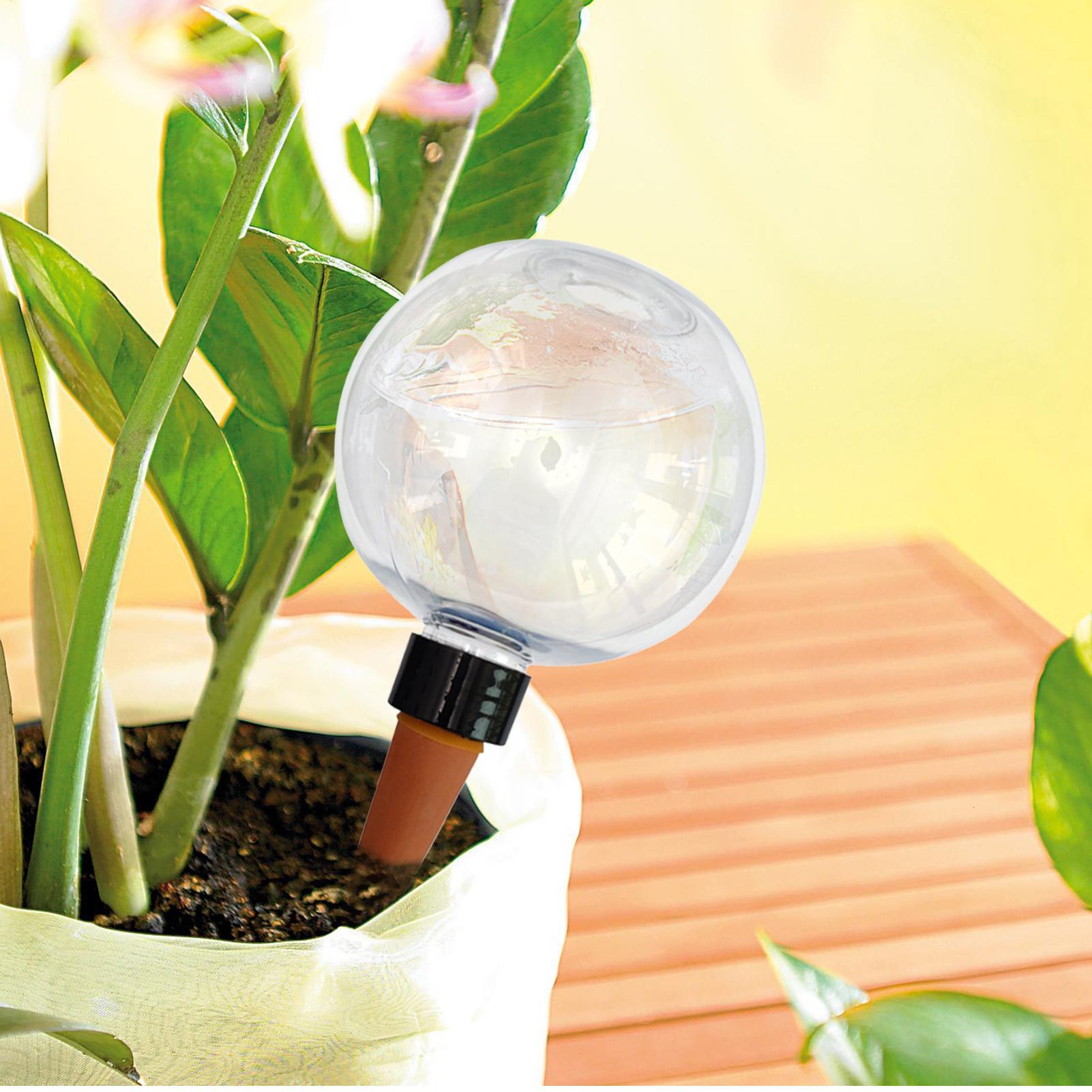 หลอดรดน้ำต้นไม้อัตโนมัติ 500 ม - Self-Watering Planter บทวิจารณ์และราคา